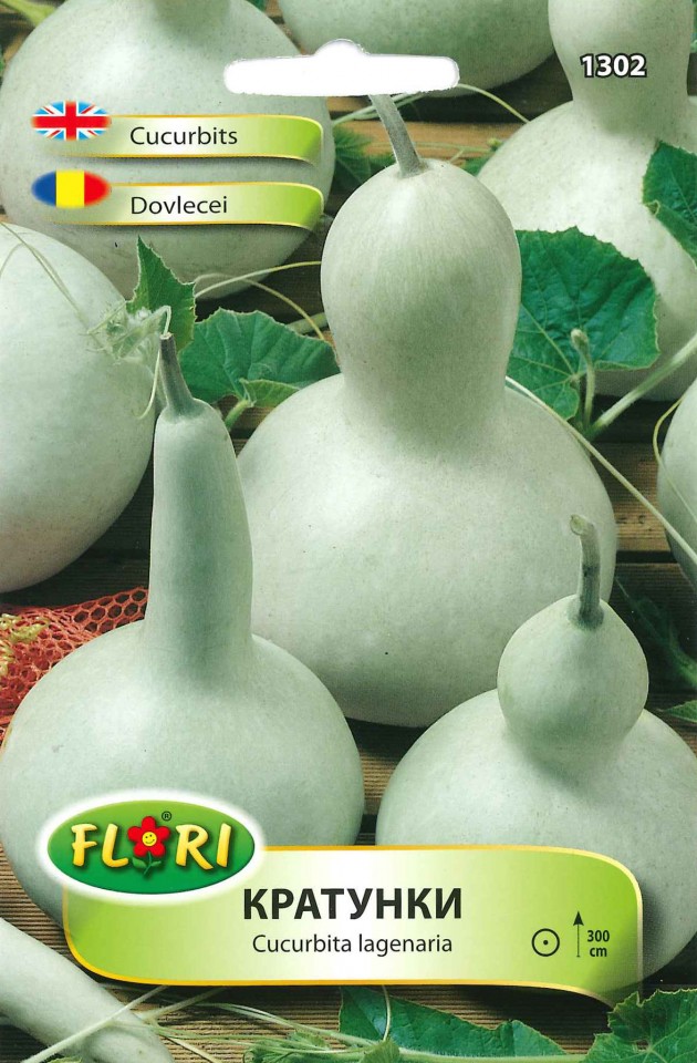 Dovlecei decorativi - Tartacute 2 - 5 sem - Seminte de Dovlecei decorativi