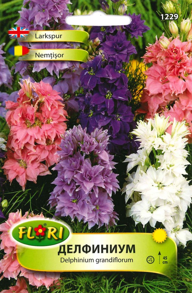 Nemtisor (400 seminte) Nemtisori flori bogate, mix de culori, Florian