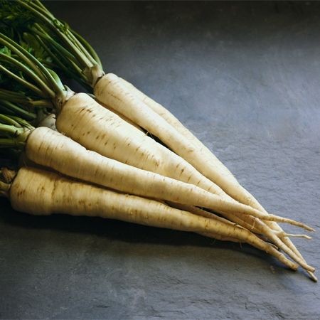 Arat (50 gr) seminte patrunjel radacina recomandat pentru industrializare si consum in stare proaspata, Bejo