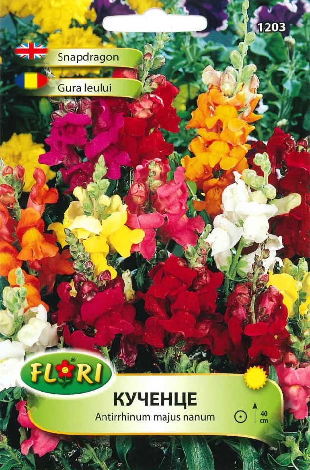 Gura Leului - Seminte Flori Gura Leului de la Florian