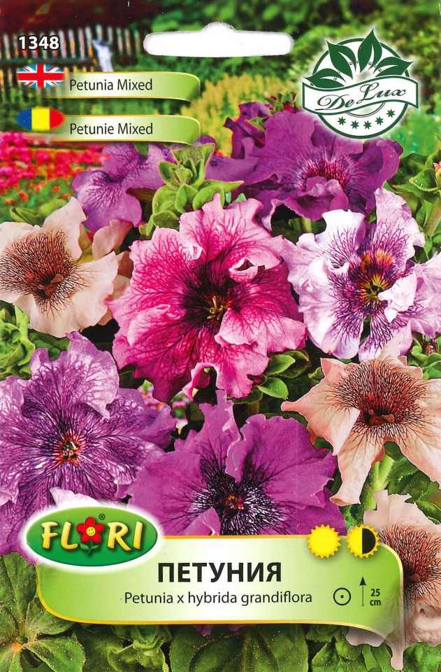 Petunie Pestrita mix (100 seminte) Petunie flori mari multicolore, Florian