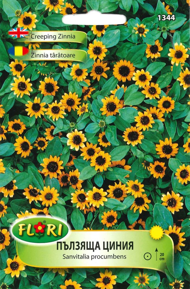 Zinnia taratoare (600 seminte) flori anuale galben-portocalii, Florian