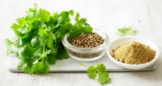 Coriandru (3 gr) seminte planta medicinala aromata, Florian