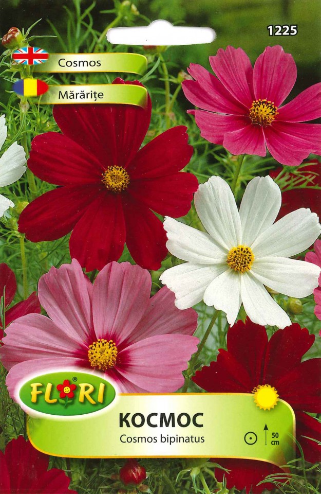 Mararite Cosmos Bipinnatus - Seminte Flori Mararite de la Florian