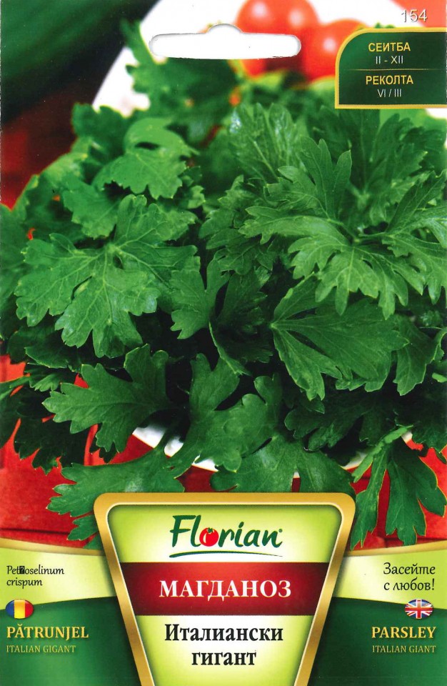 Gigant Italian (3200 seminte) patrunjel foarte productiv, frunze foarte mari, aroma puternica, Florian