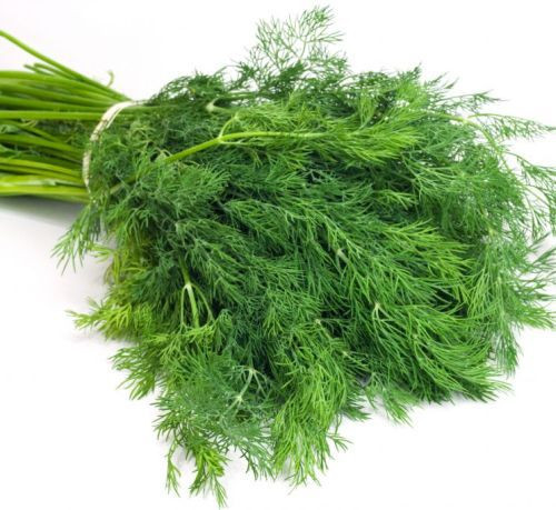 Marar Comon (250.000 seminte) marar comun aromat, Florian