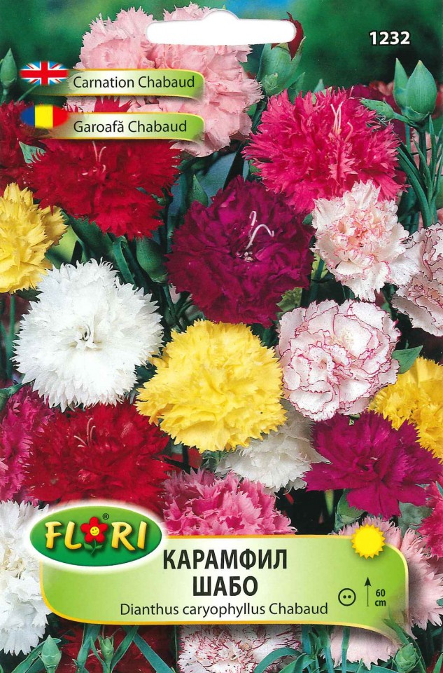 Garoafa CHABAUD - Seminte Flori Garoafa CHABAUD de la Florian