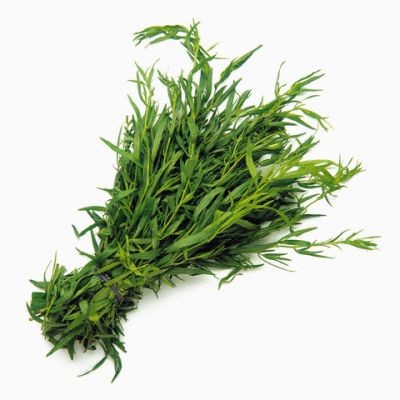 Tarhon (0.2 gr) Seminte de Tarhon Planta Aromatica Perena, Opal