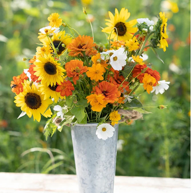 Flower Mix Summer BIO (500 seminte) amestec flori de vara anuale BIO, pentru gradini si ghivece, Seklos