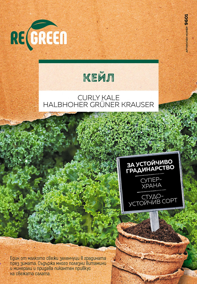 Varza Kale Curly (400 seminte) planta medicinala varza Kale, Laktofol