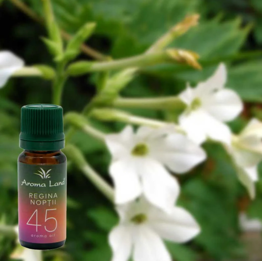 Ulei aromaterapie Regina Noptii, Aroma Land, 10 ml Aroma