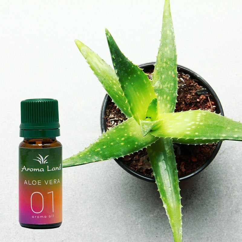 Ulei aromaterapie Aloe Vera, Aroma Land, 10 ml aloe