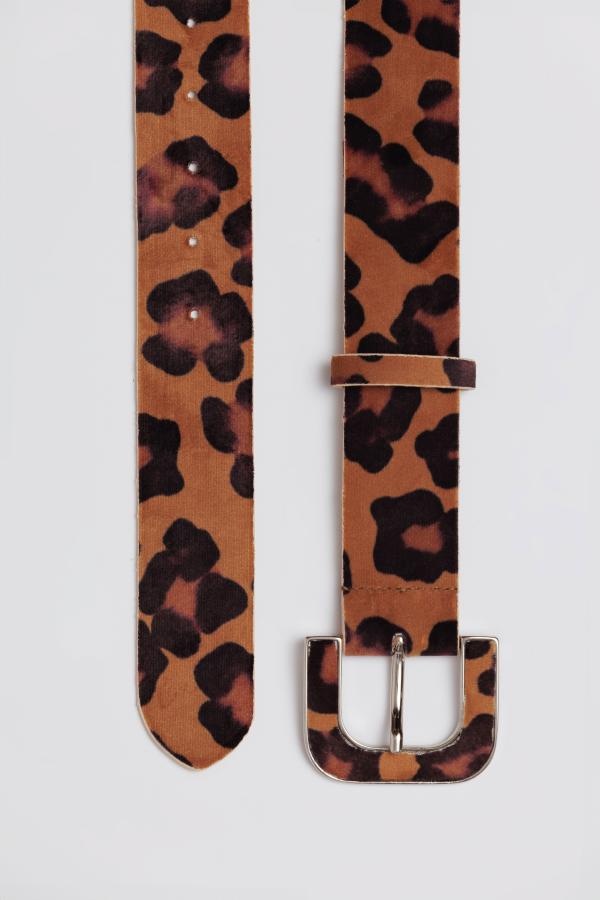 Aceasta este imaginea corespunzatoare acestui obiect