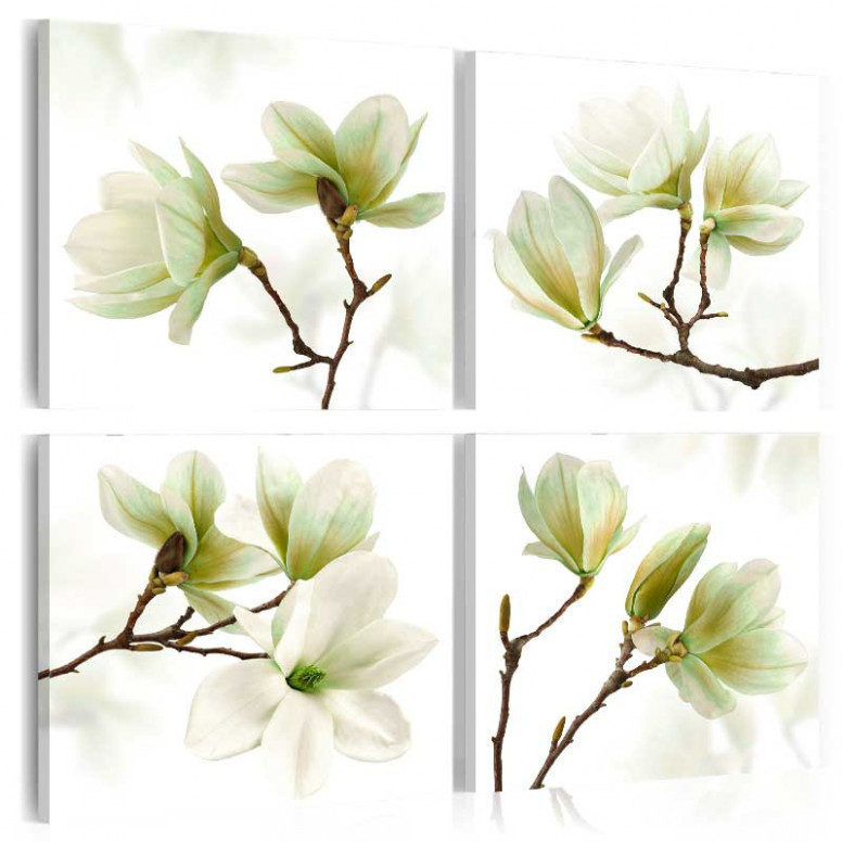 Tablou - Admiration of Magnolia 80x80 cm