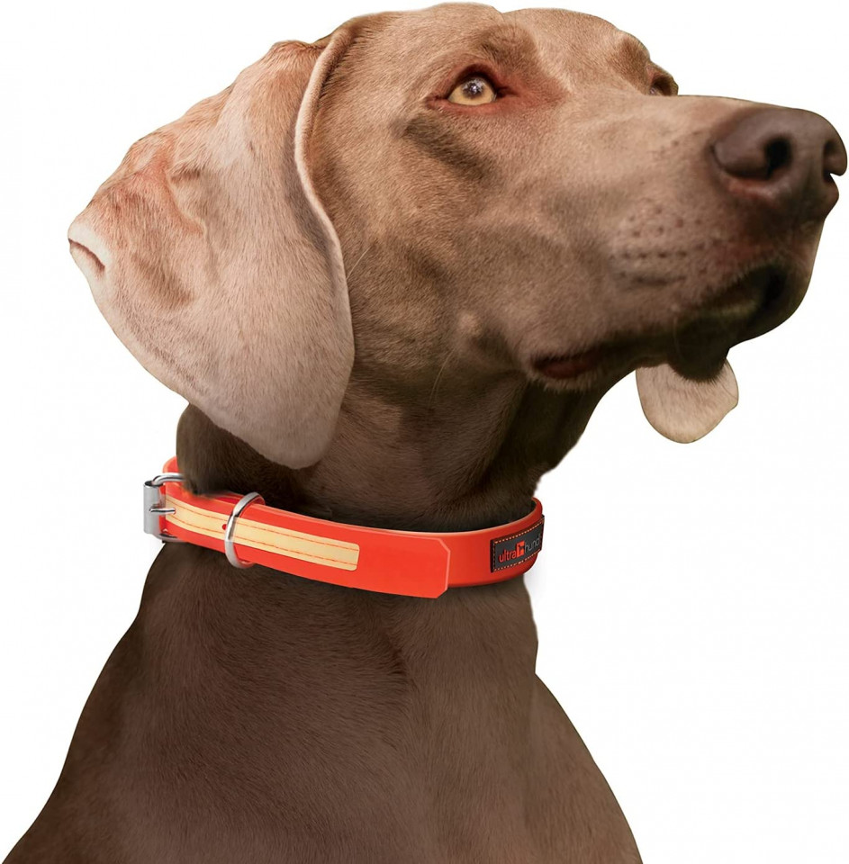 Poze Curea pentru caini Ultrahund, plastic/tesatura, portocaliu, 31-39 cm