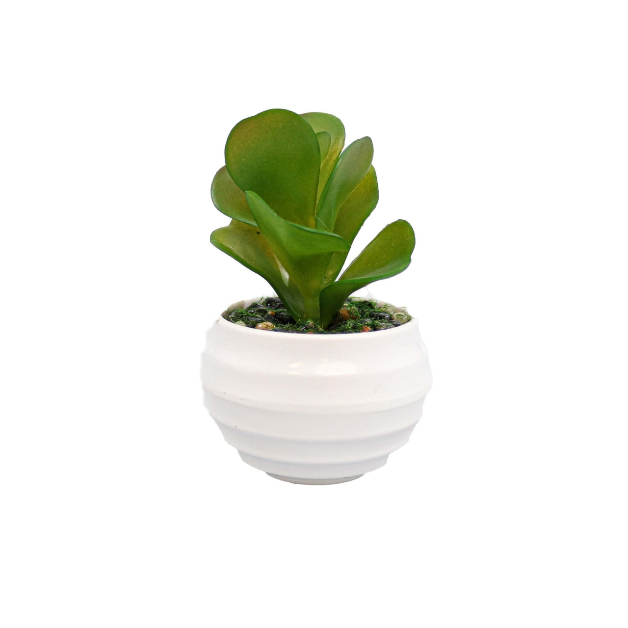 Planta Suculenta Artificiala, Verde, Plastic, 10Cm