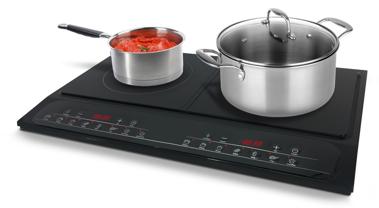 Plita cu inductie MICHELINO 74301, 2 zone, 2000+1500 W, control digital, 8 niveluri de incalzire