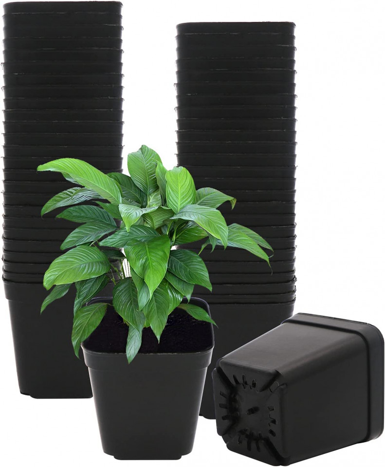 Set de 50 ghivece GGOUPTY, plastic, negru, 7 x 6,6 x 5 cm