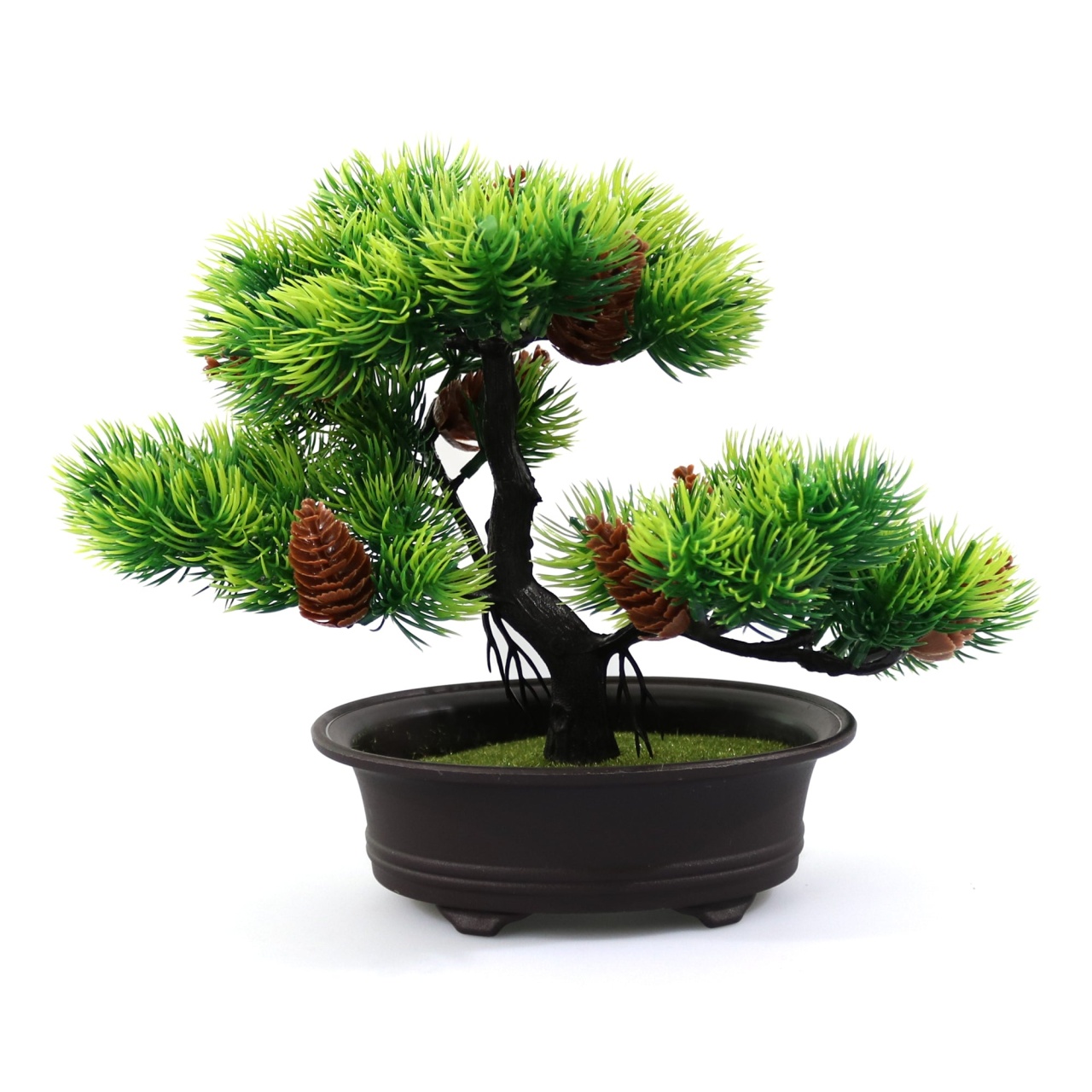 Ghiveci cu Aranjament Pin, Verde, 22cm