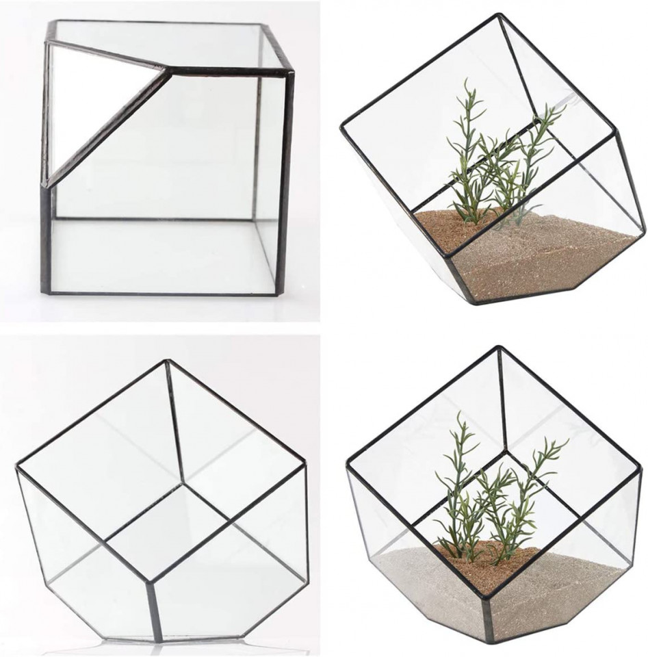 Ghiveci decorativ pentru plante Asvert, sticla, transparent, 15 x 15 x 15 cm