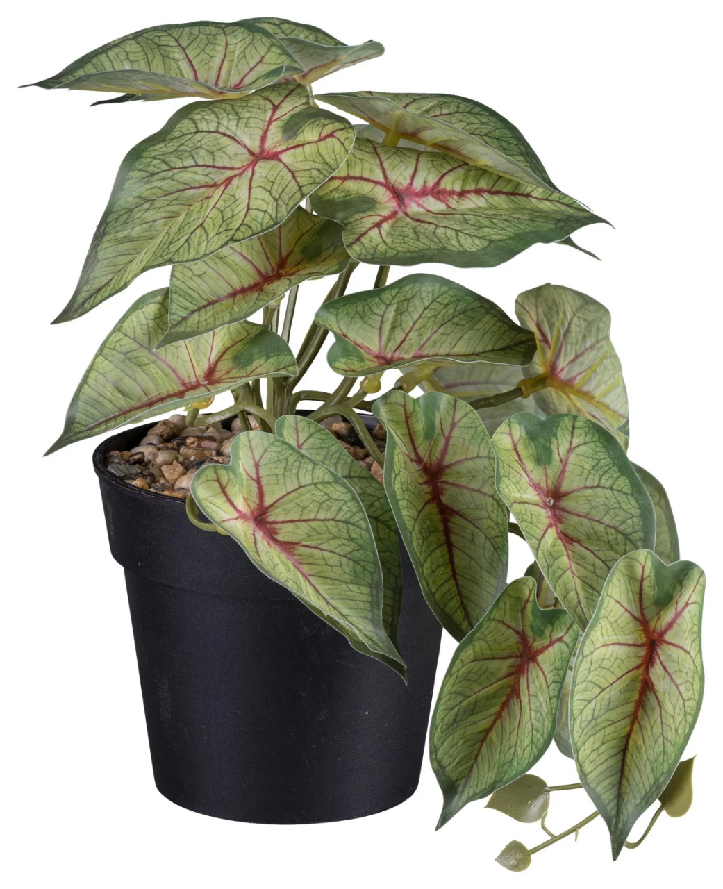 Plantă artificială Caladium II verde, 19cm