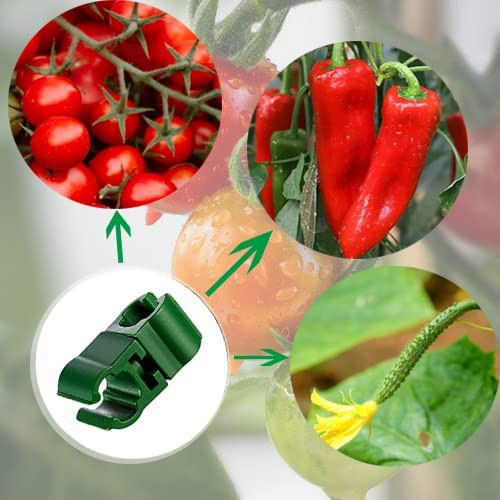 Poze Set de 50 conectori pentru tomate Miiooan, PP, verde, 11mm