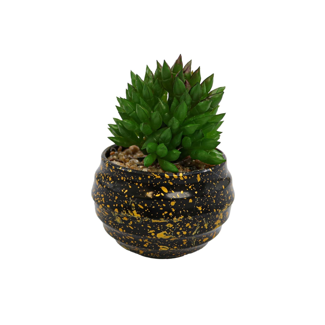 Vas Rotund Cu Planta Suculenta, Verde, Plastic, 9Cm