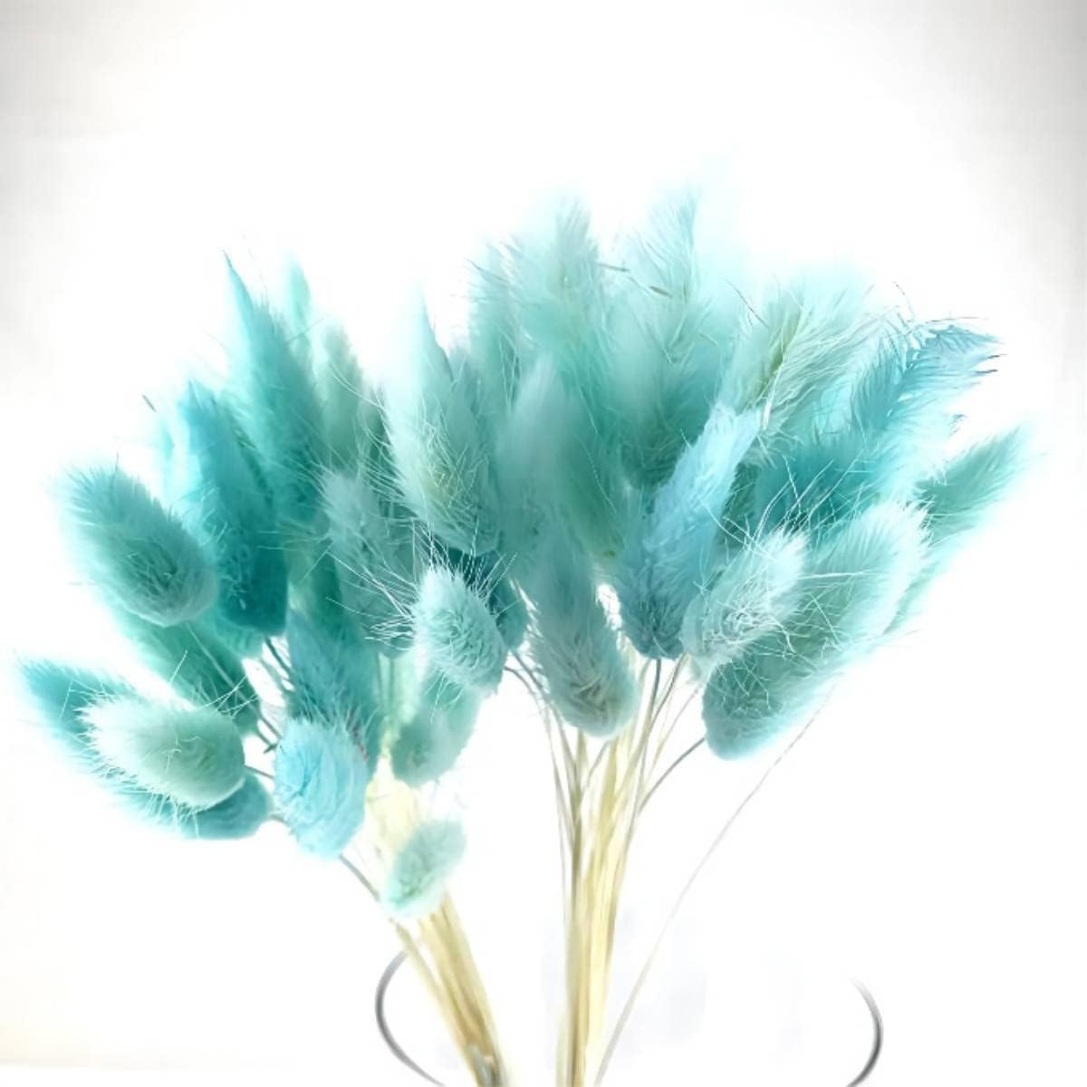 Buchet de pampas uscat Dxinye, 40 fire, albastru, 40 cm