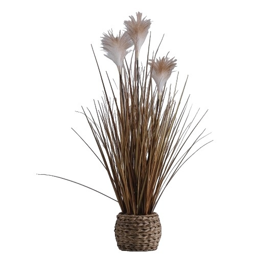 Floare decorativa miscantillow