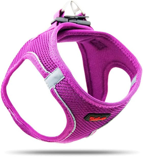 Ham pentru caine ASTORPET, nailon/plastic, violet, 2XS