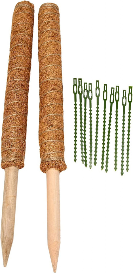 Set de 2 suporturi pentru plante SODIAL, lemn/fibra de cocos, maro, 40 cm