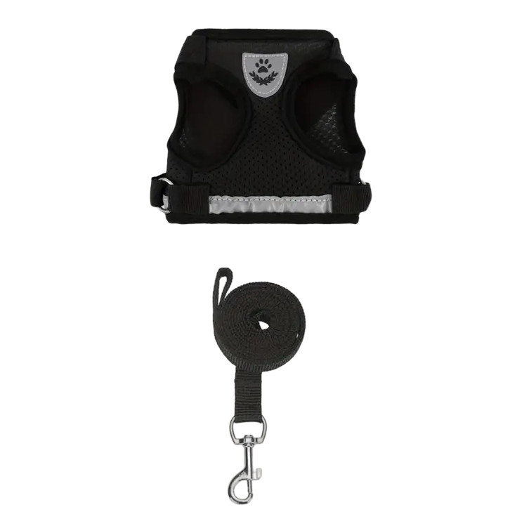 Set de ham si lesa pentru pisici Supet, nailon, negru, marimea L