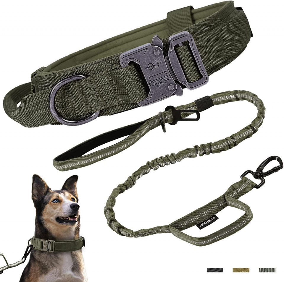 Set zgarda si lesa pentru caine Amai Keto, nailon, verde, marimea L Accesorii imagine noua