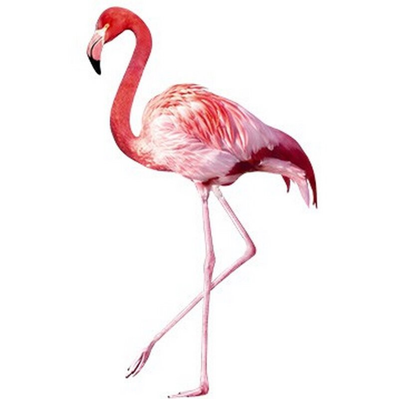 Sticker Flamingo, roz, 202 x 120 cm chilipirul-zilei.ro/ pret redus
