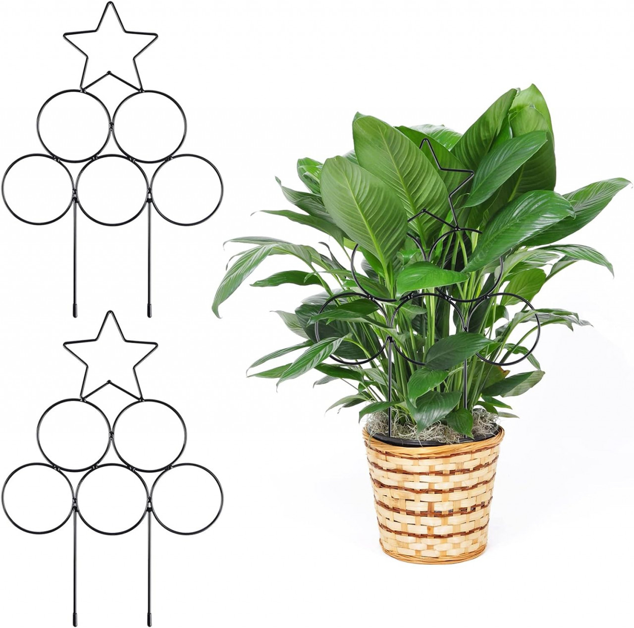 Set de 2 suporturi pentru plante cataratoare MplehDa, metal, negru, 24 x 35 cm / 24 x 50 cm