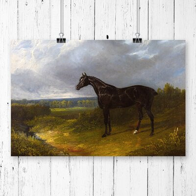 Tablou ” Black Horse “, 42 x 59.4 cm Pret Redus chilipirul-zilei pret redus imagine 2022