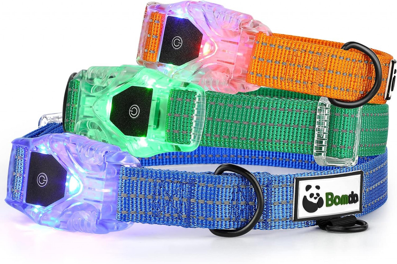 Zgarda pentru caine Bamda, LED, nailon, verde, marimea S