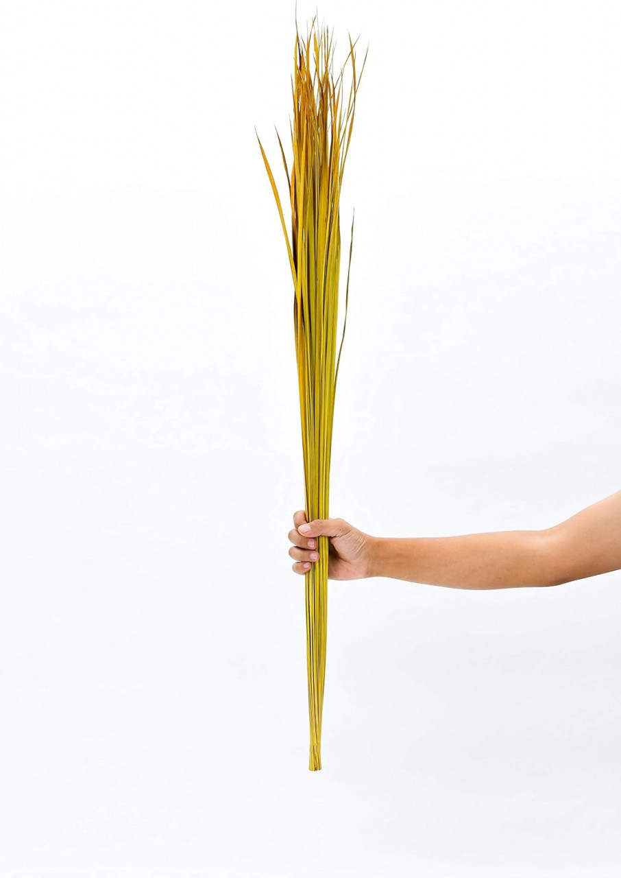 Buchet decorativ pentru vaze de podea LEEWADEE, iarba naturala uscata, galben, 120 cm