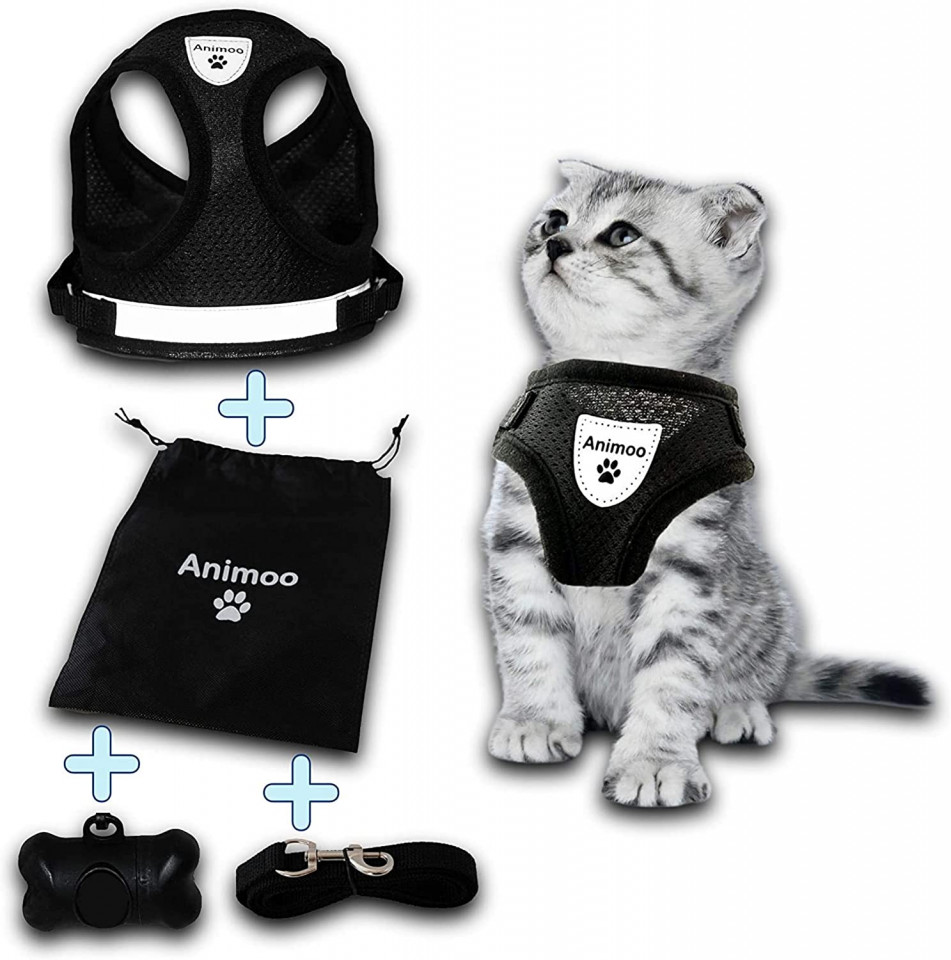 Set de 4 accesorii pentru pisici Animoo, textil, negru, marimea XL