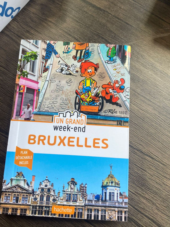 Carte in Limba Franceza: Bruxelles chilipirul-zilei.ro/ imagine 2022 by aka-home.ro
