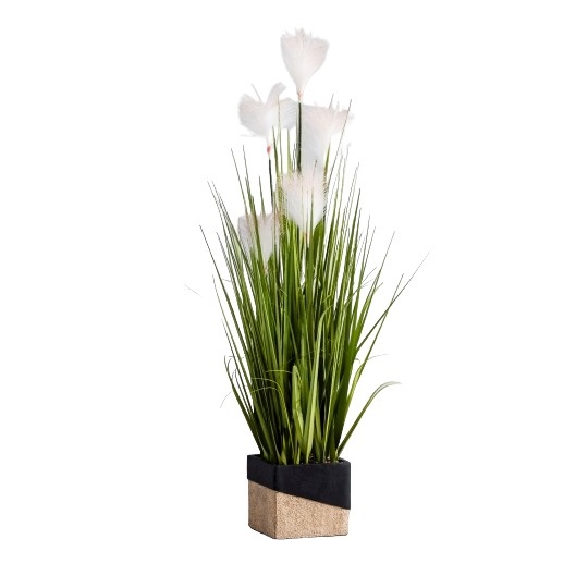 Floare decorativa miscanter