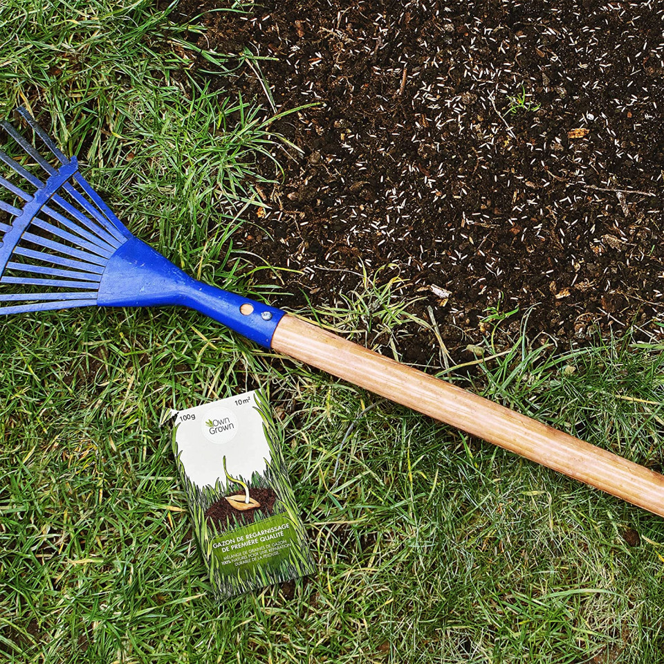 Poze Seminte de gazon de inalta calitate OwnGrown, 100 g, pentru 10 m2