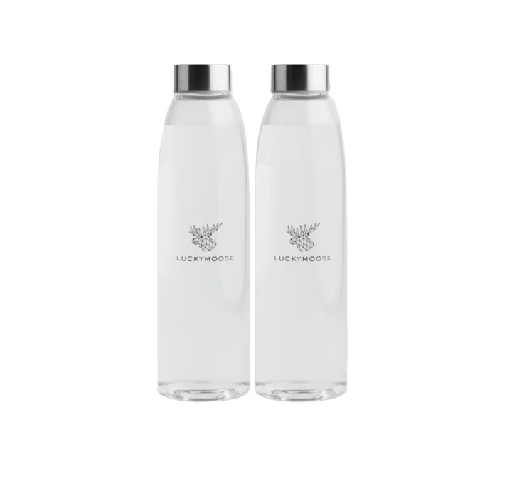 Set de 2 sticle pentru apa Luckymoose, transparent/argintiu, 25 x 7 cm