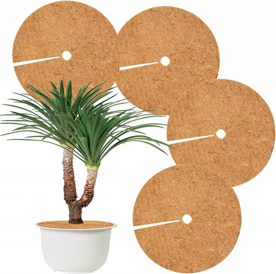 Set de 4 discuri de protectie pentru ghivecile de plante Hydrogarden, nuca de cocos, natur,60 cm Accesorii