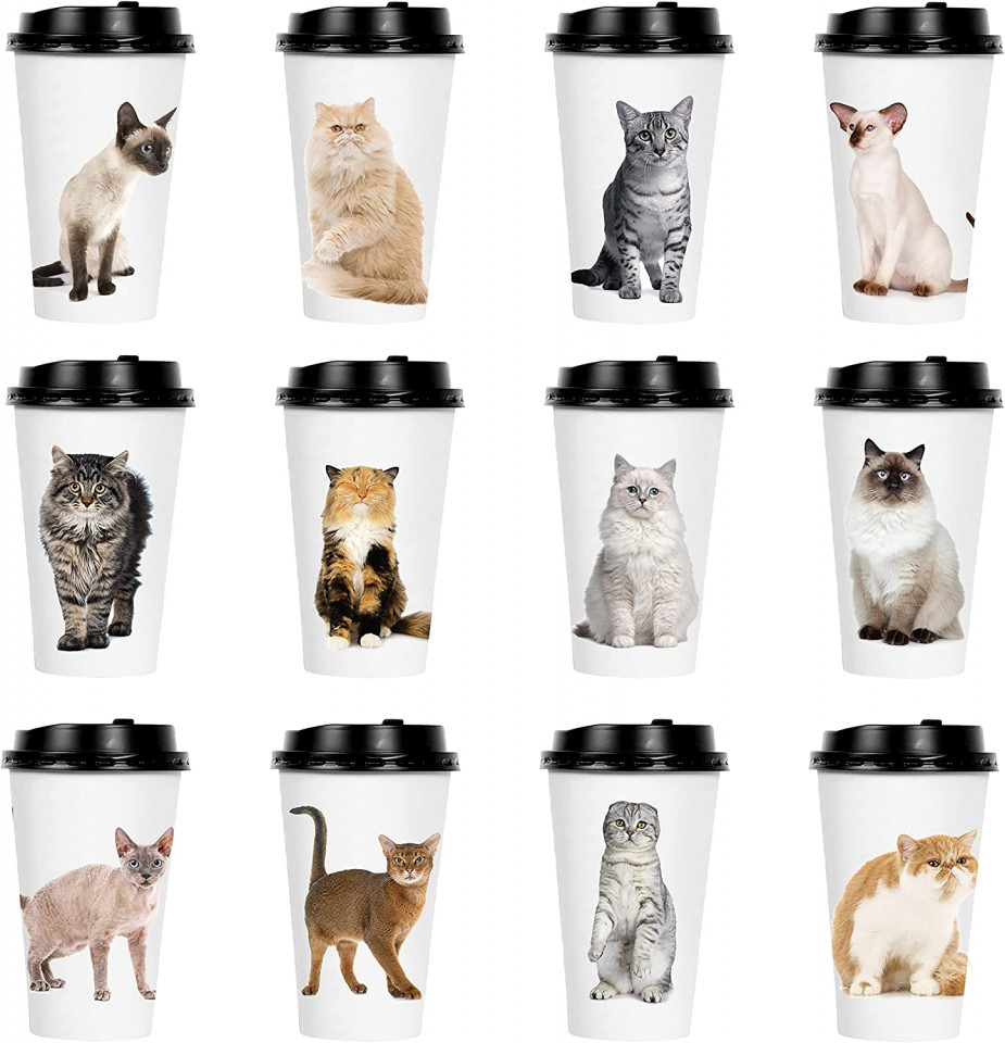 Set de 72 pahare de unica folosinta cu pisici Youngever, hartie/plastic, multicolor, 14, 5 x 8, 6 cm