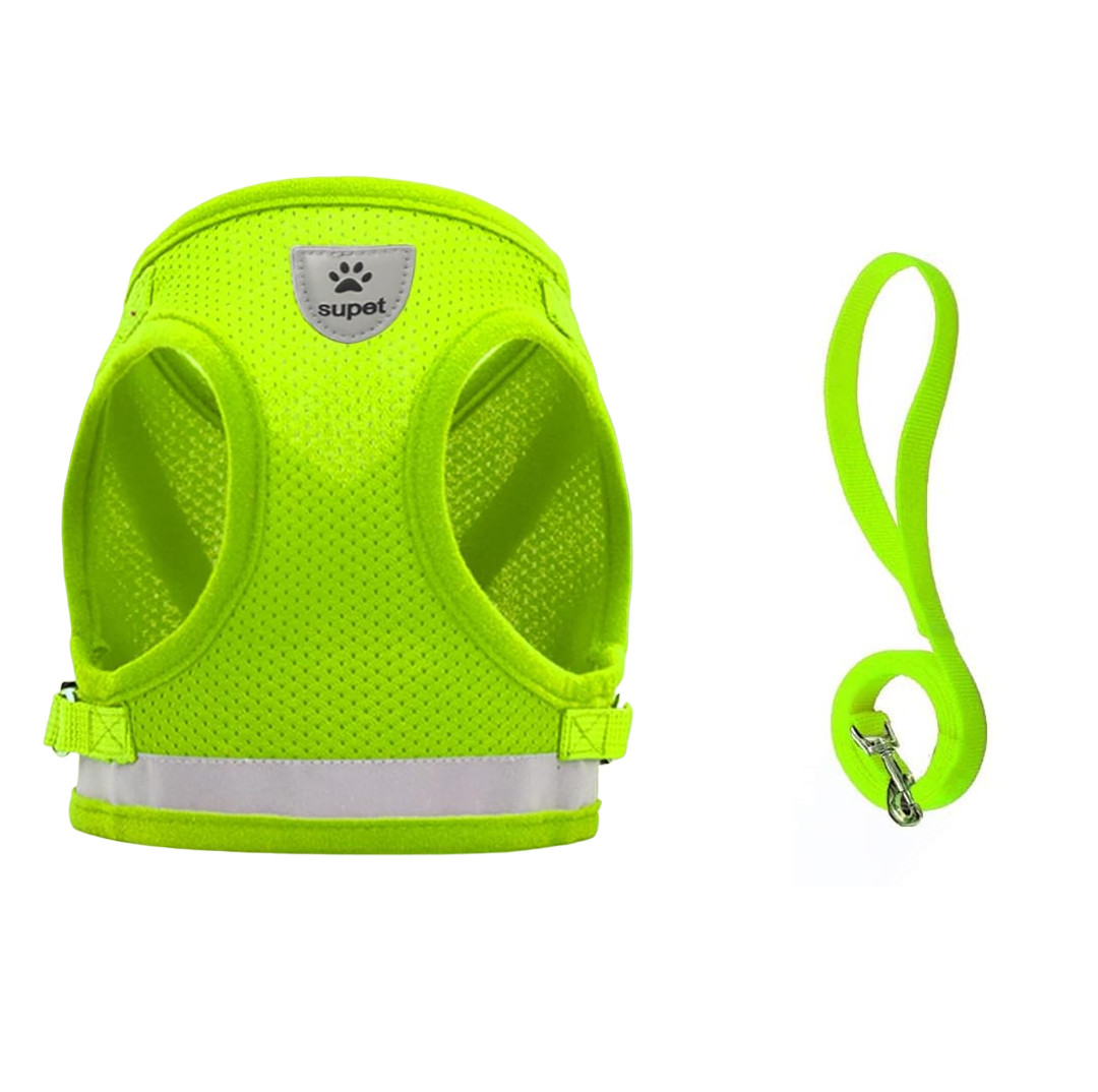 Set de ham si lesa pentru pisici Supet, nailon, verde, marimea M