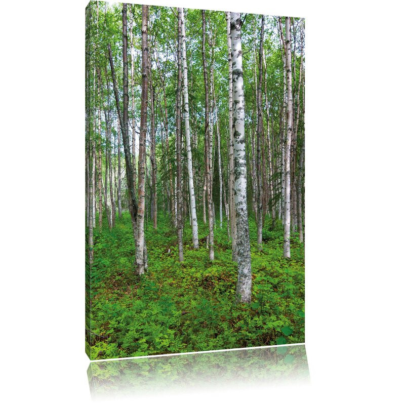 Tablou Pixxprint, lemn/panza, verde/gri, 60 x 40 cm chilipirul-zilei.ro/ imagine noua 2022