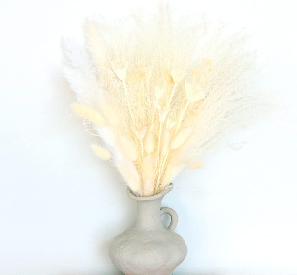 Buchet uscat de pampas Chbop, alb