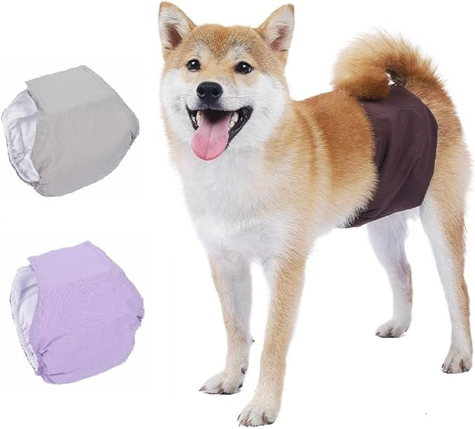 Set de 3 scutece lavabile BePetMia pentru caini, maro/bej/violet, XS 22-32 cm