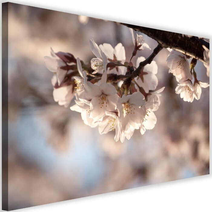 Tablou ‘Flowering Cherry’, crem, 40 x 60 cm
